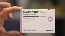 #LEVOTHYROX - Un document de l'ANSM datant de 2013 contredit MERCK (Levothyrox ancienne formule = Eutirox) ! #LEVOTHYROX - Un document de l'ANSM datant de 2013 contredit MERCK (Levothyrox ancienne formule = Eutirox) !