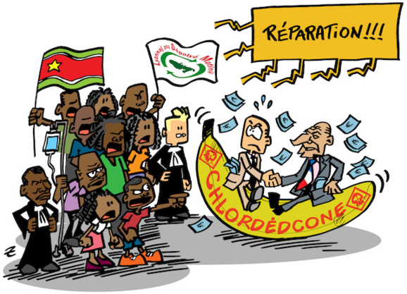 Conférence - Action Collective Conjointe contre l'État / Catastrophes écologiques et sanitaires