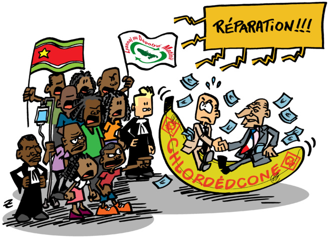 Chlordecone : interview de CLE sur FranceInfo Chlordecone : interview de CLE sur FranceInfo