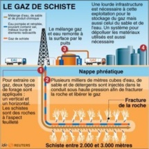 GAZ DE SCHISTE - Mémoire en intervention devant le Conseil constitutionnel