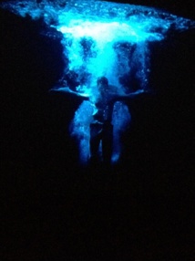 Année lombarde : La Cour de Cassation condamne le Crédit Lyonnais Année lombarde : La Cour de Cassation condamne le Crédit Lyonnais