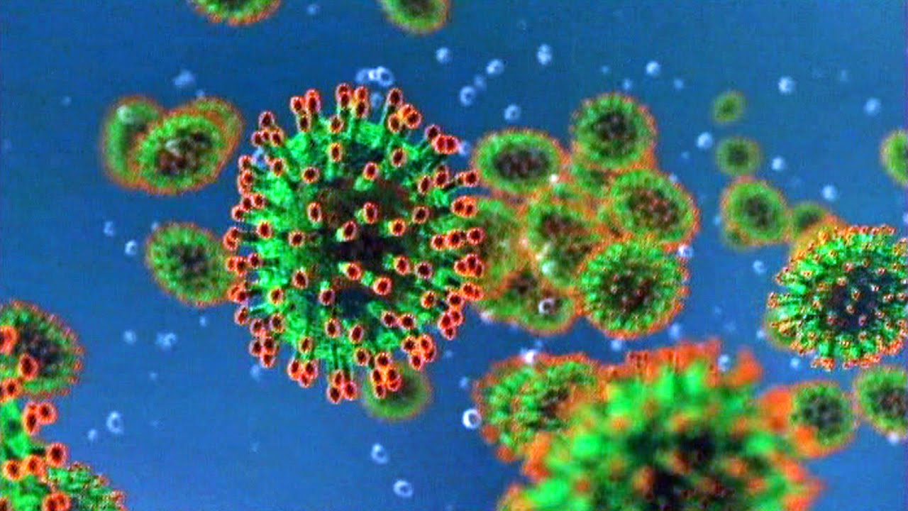 #Coronavirus - Villes fermées et quarantaine : ce qui pourrait (ou pas) se passer en France en cas de pandémie aigüe