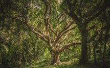 #LEVOTHYROX : C'est la rentrée - huissier, appel et bioéquivalence... (newsletter de septembre 2019) #LEVOTHYROX : C'est la rentrée - huissier, appel et bioéquivalence... (newsletter de septembre 2019)