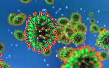 #Coronavirus - Villes fermées et quarantaine : ce qui pourrait (ou pas) se passer en France en cas de pandémie aigüe