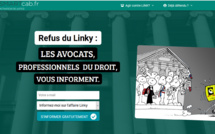 #LINKY : Décision importante de la Cour d'appel de Bordeaux (2) LES VICTIMES DES ONDES PROTEGEES