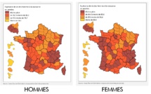 Chlordecone : compte rendu de l'audience du mardi 17 mai 2022