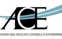 La réforme du droit des entreprises en difficulté : à propos de l'avant-projet de la loi Perben (2004)