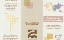 Economie des marchés émergents (Sciences Po Toulouse 1er avril 2015)