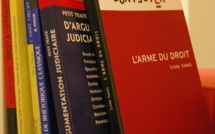 EN RÉFÉRÉ, LA COUR D’APPEL REJETTE LA DEMANDE D’INTERDICTION DE L’USAGE DES TERMES « LES RÉPUBLICAINS» POUR LA DENOMINATION DE L'UMP ET DANS DES DEPOTS DE MARQUES