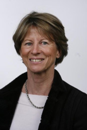 dominiquepy dominiquepy