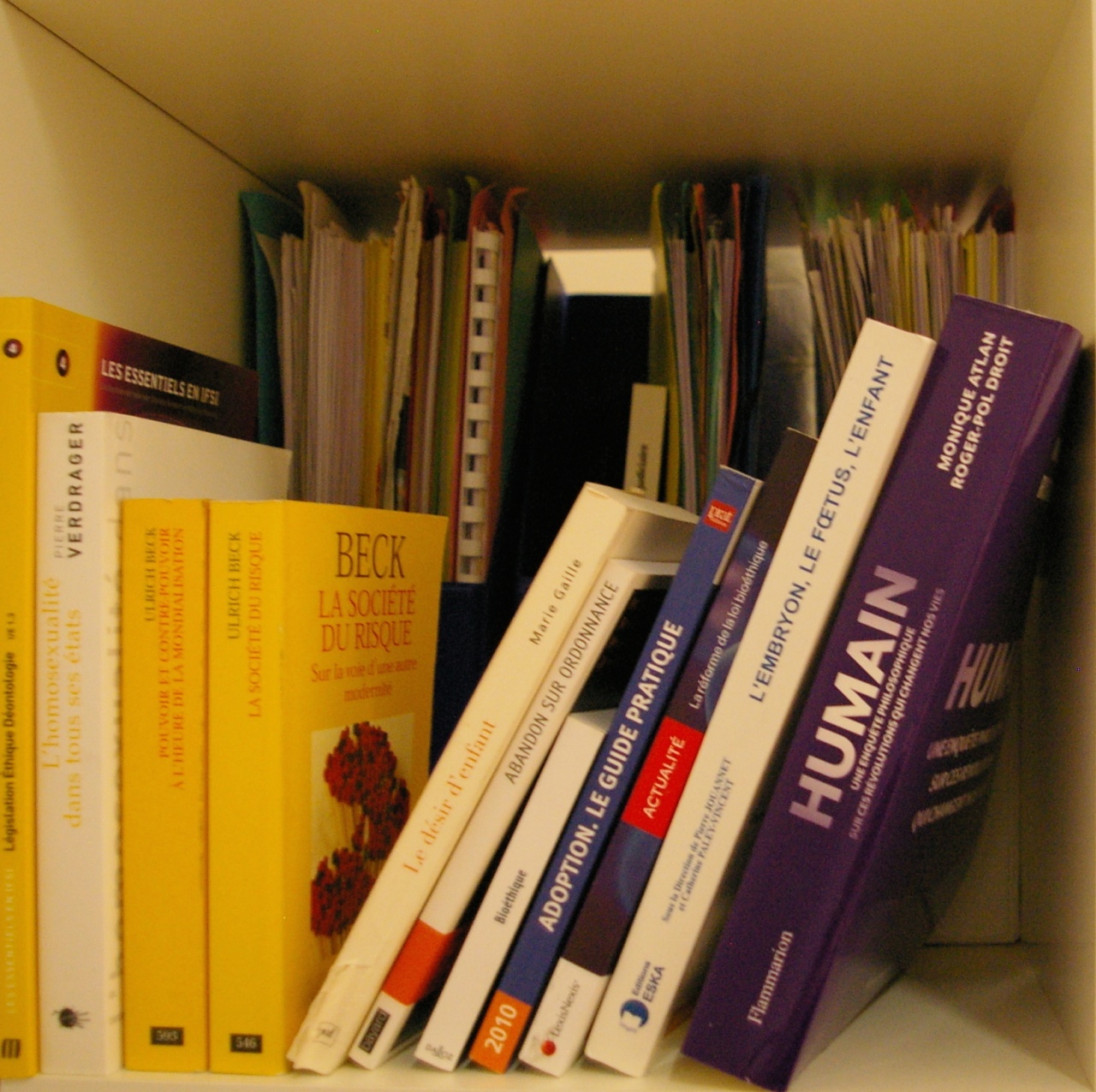 bibliorisques bibliorisques