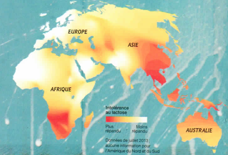 intolérance lactose sources mines paris intolérance lactose sources mines paris