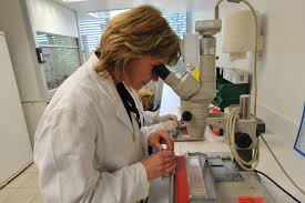 microscope microscope