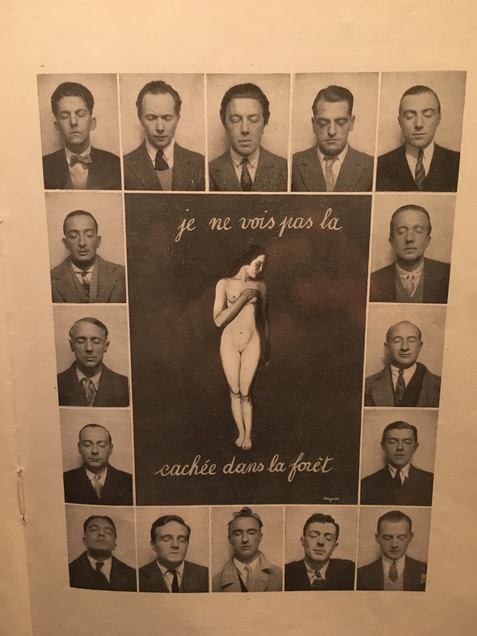 IMG_3676 (1) IMG_3676 (1)