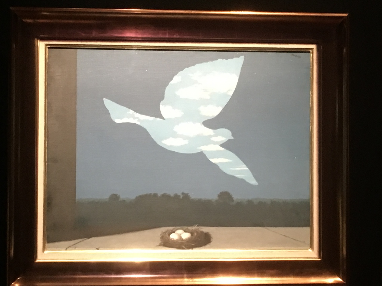 IMG_3682 (1) IMG_3682 (1)