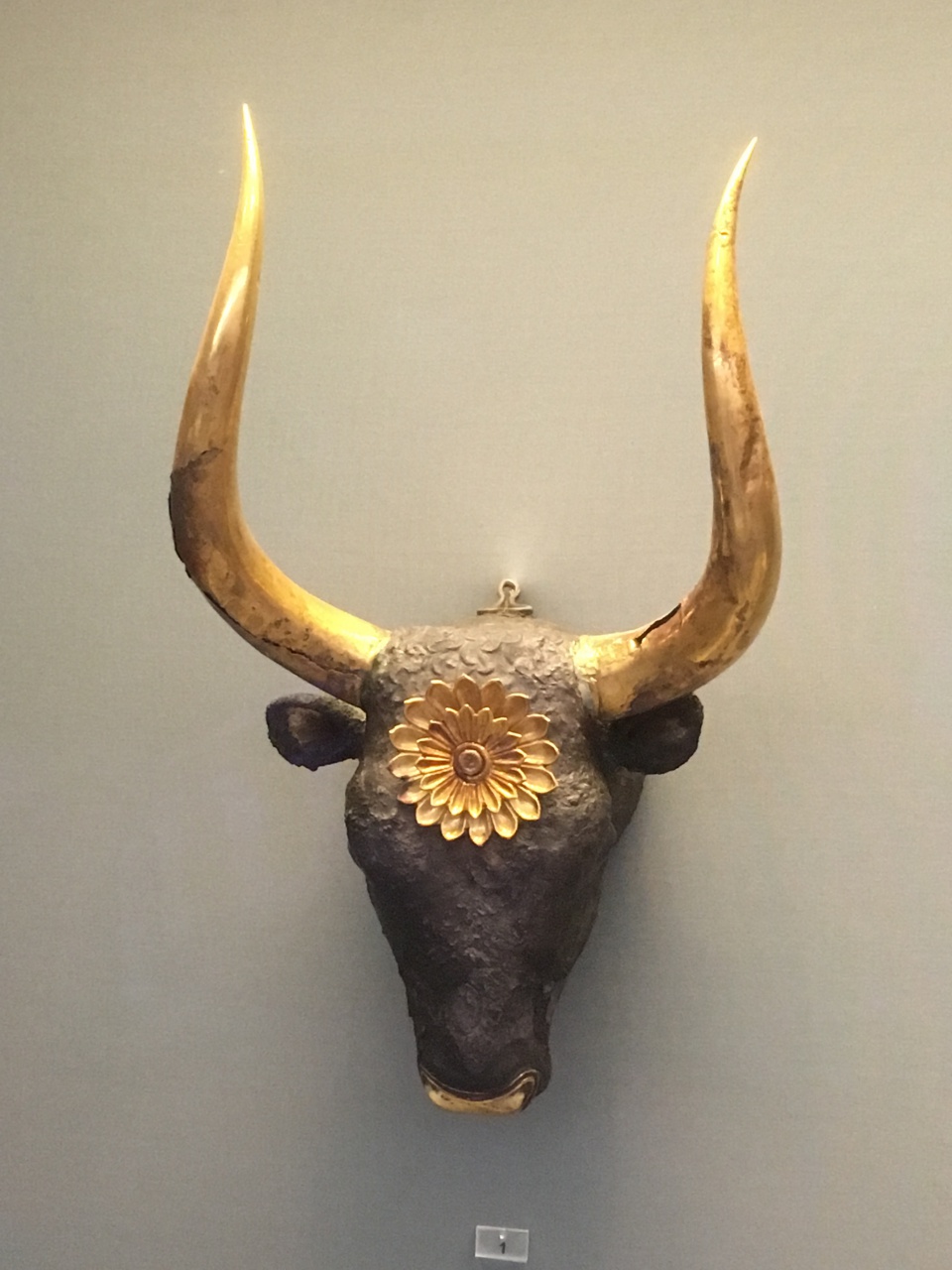 IMG_1946 - Copie IMG_1946 - Copie